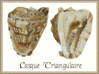(image for) Shell Casque Triangulaire 2